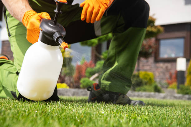 Best Pest Control Near Me in Tickfaw, LA