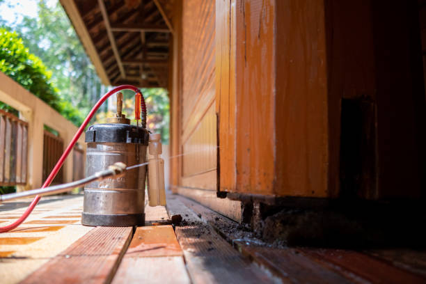 Best Mosquito Control Services  in Tickfaw, LA