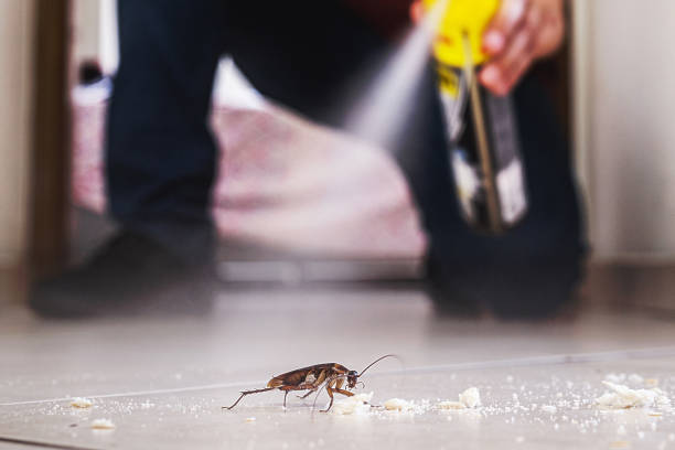 Best Cockroach Control Services  in Tickfaw, LA