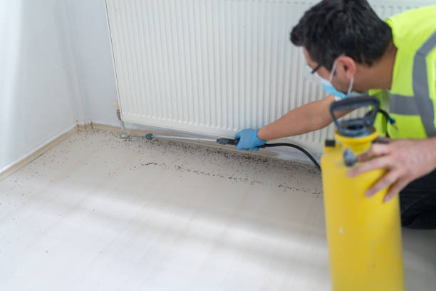 Best Bed Bug Extermination  in Tickfaw, LA