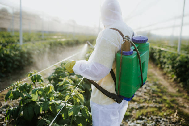 Best Pest Control for Homes  in Tickfaw, LA